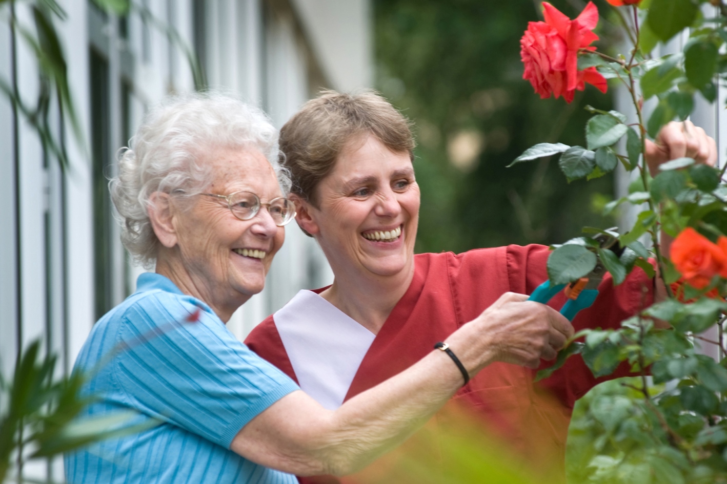 Eine Pflegerin hilft einer Seniorin bei der Gartenarbeit. Gemeinsam schneiden sie Rosen.