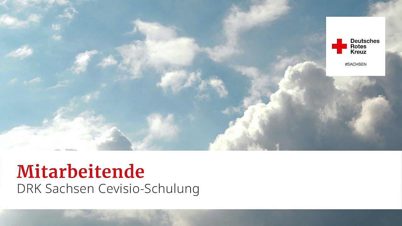 Cevisio-Schulung: Mitarbeitende